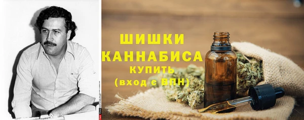 apvp Алзамай