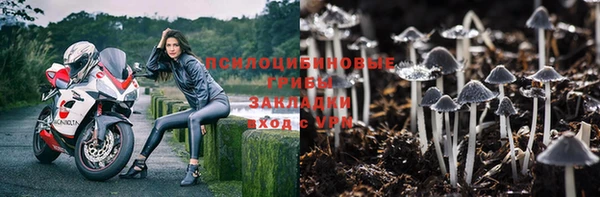 мескалин Алексин