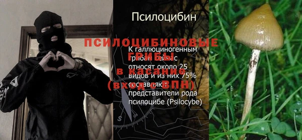 мескалин Алексин