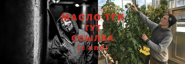 хмурый Гусь-Хрустальный